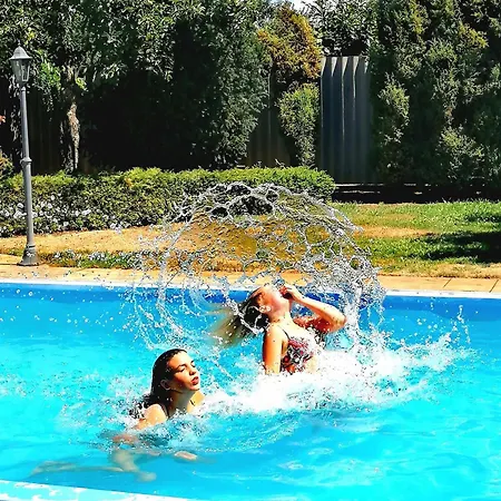 Flower Tisza Vendeghaz *