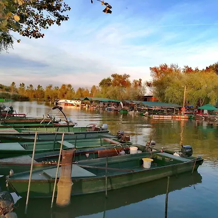 דירה Flower Tisza Vendeghaz *