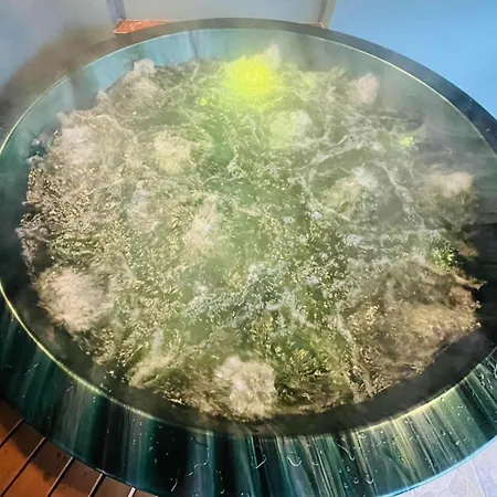 Flower Tisza Vendeghaz *