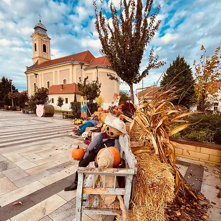 דירה Flower Tisza Vendeghaz Tiszafüred