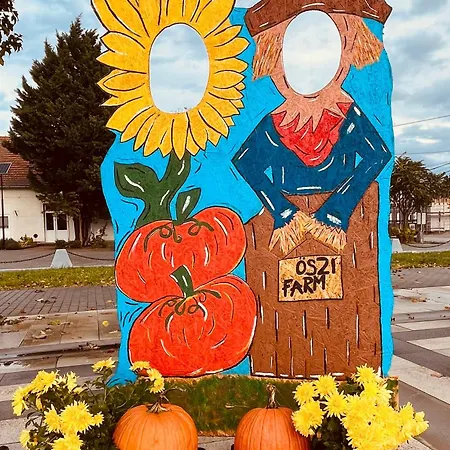 Appartamento Flower Tisza Vendeghaz Tiszafüred