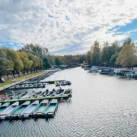 Flower Tisza Vendeghaz *